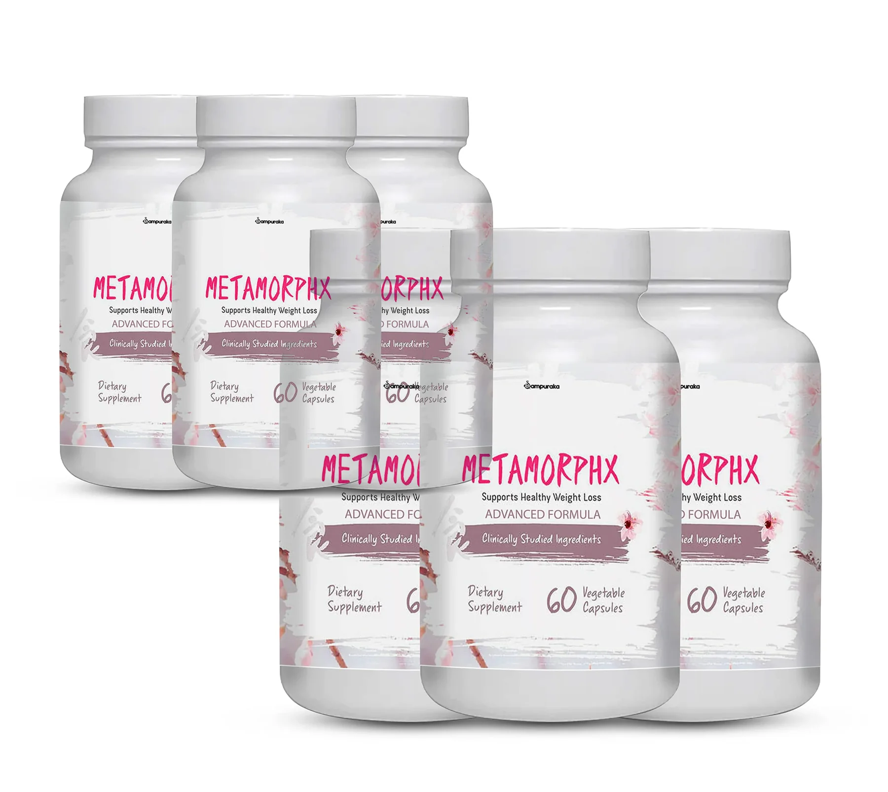 Six-bottle supply of MetaMorphX advanced-formula weight management capsules
